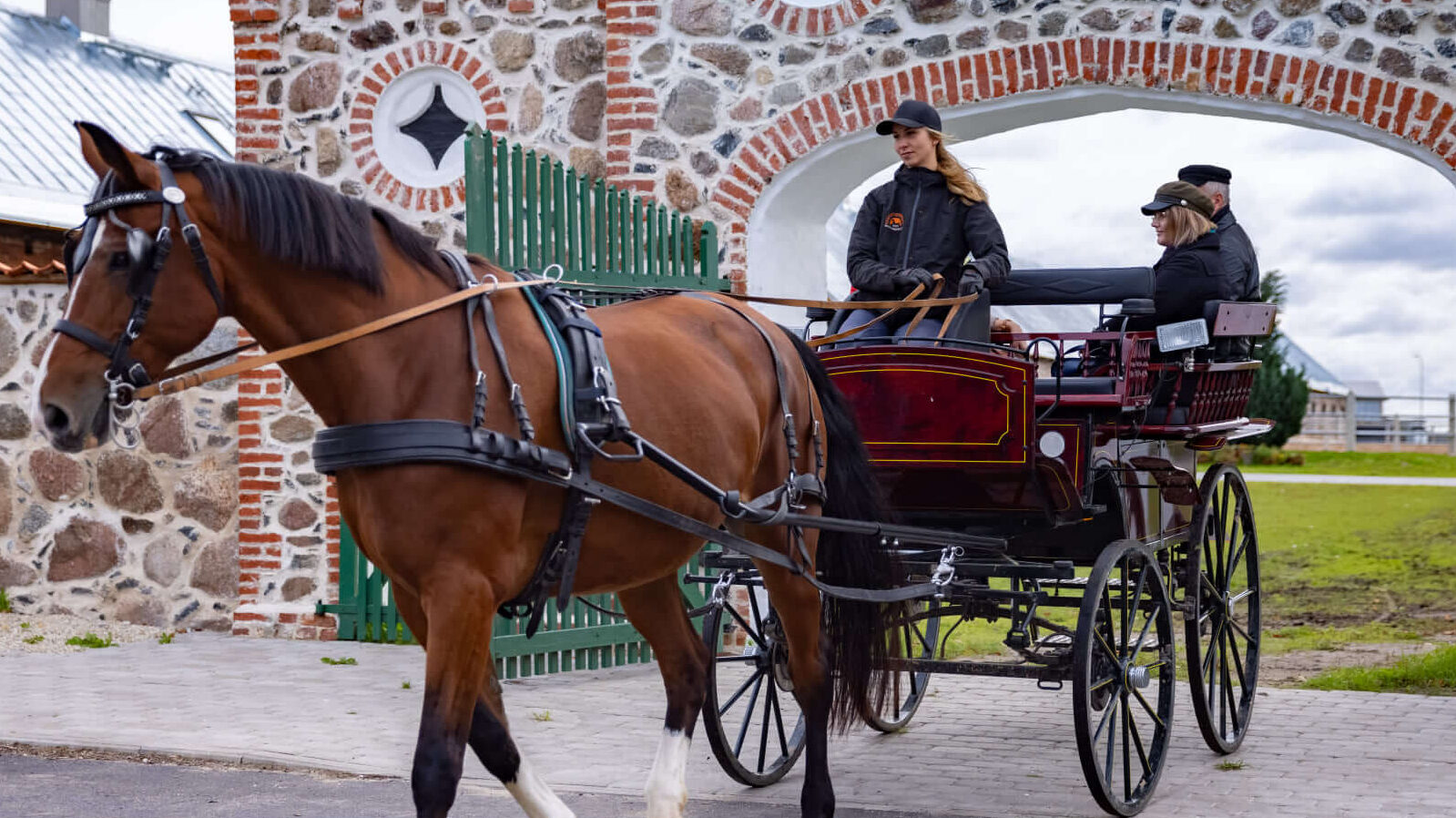 Tori Hobusekasvandus