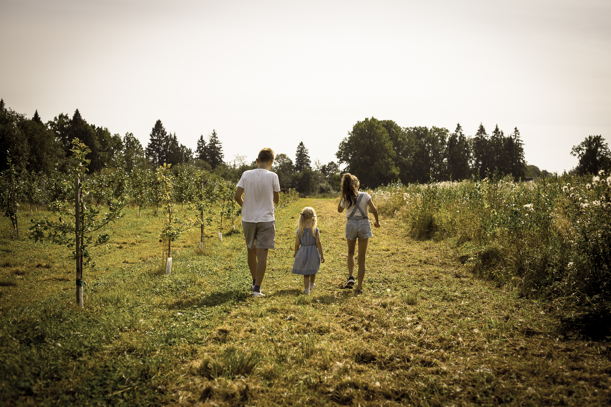 Kuva: Piesta Kuusikaru, Ragne Värk