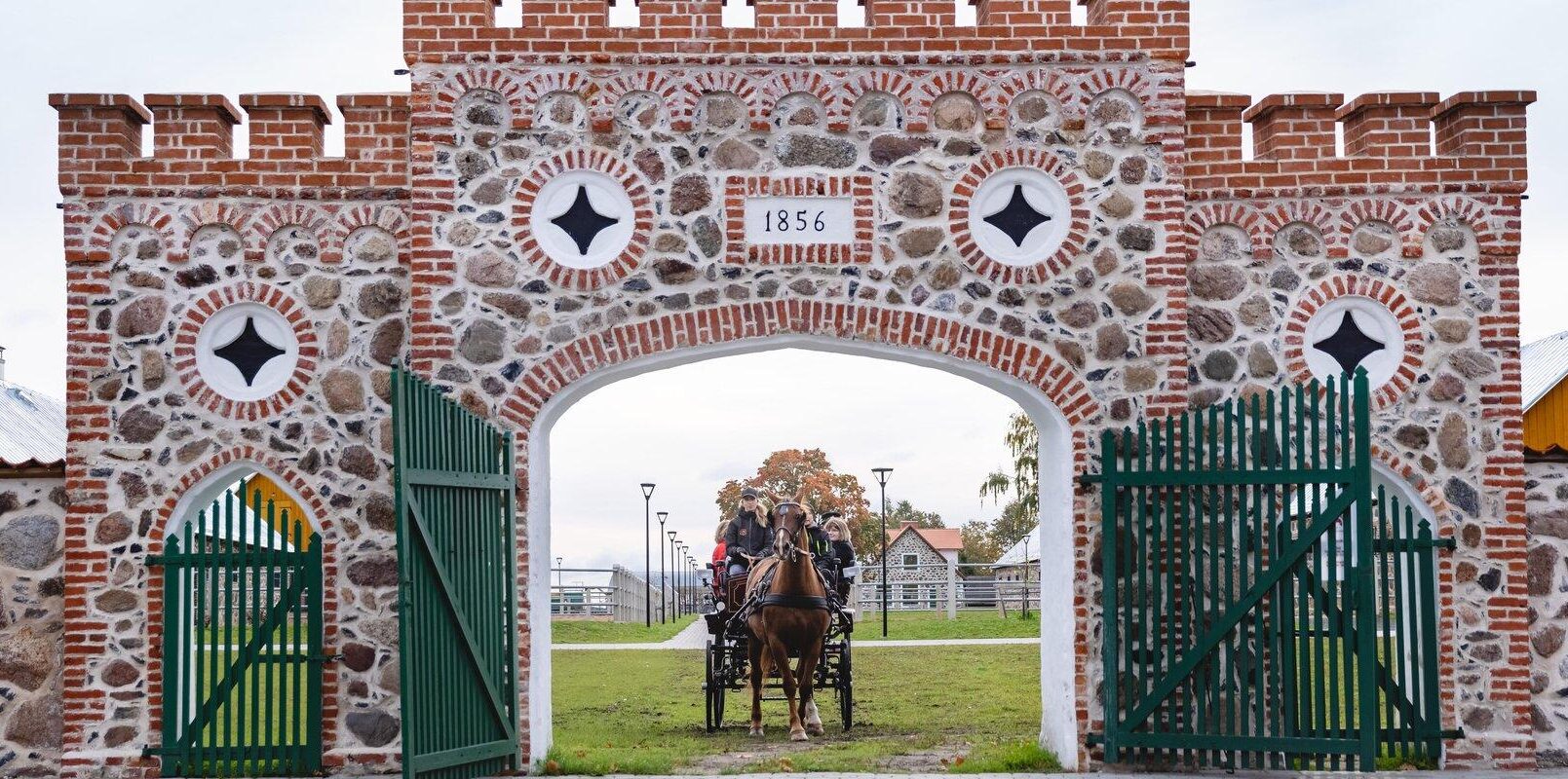 Tori Hobusekasavndus