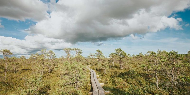 50608108618_30e7c19ec2_c