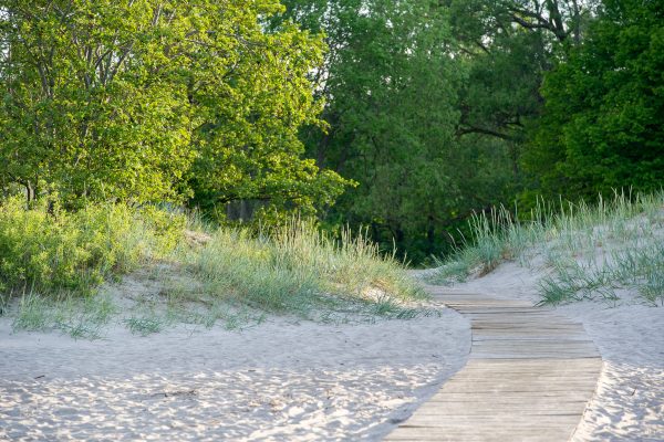 50614709247_c4e27b4427_k