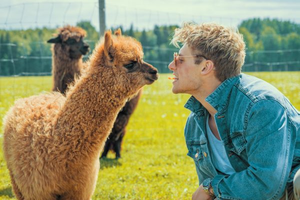 Author_Innervisionteam