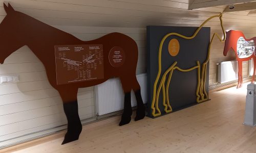 Tori hobusekasvandus