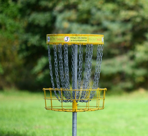 disc-golf