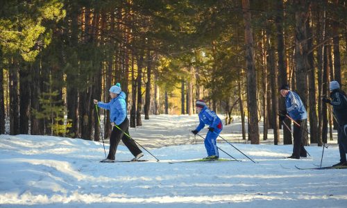 pexels-no-name-66990