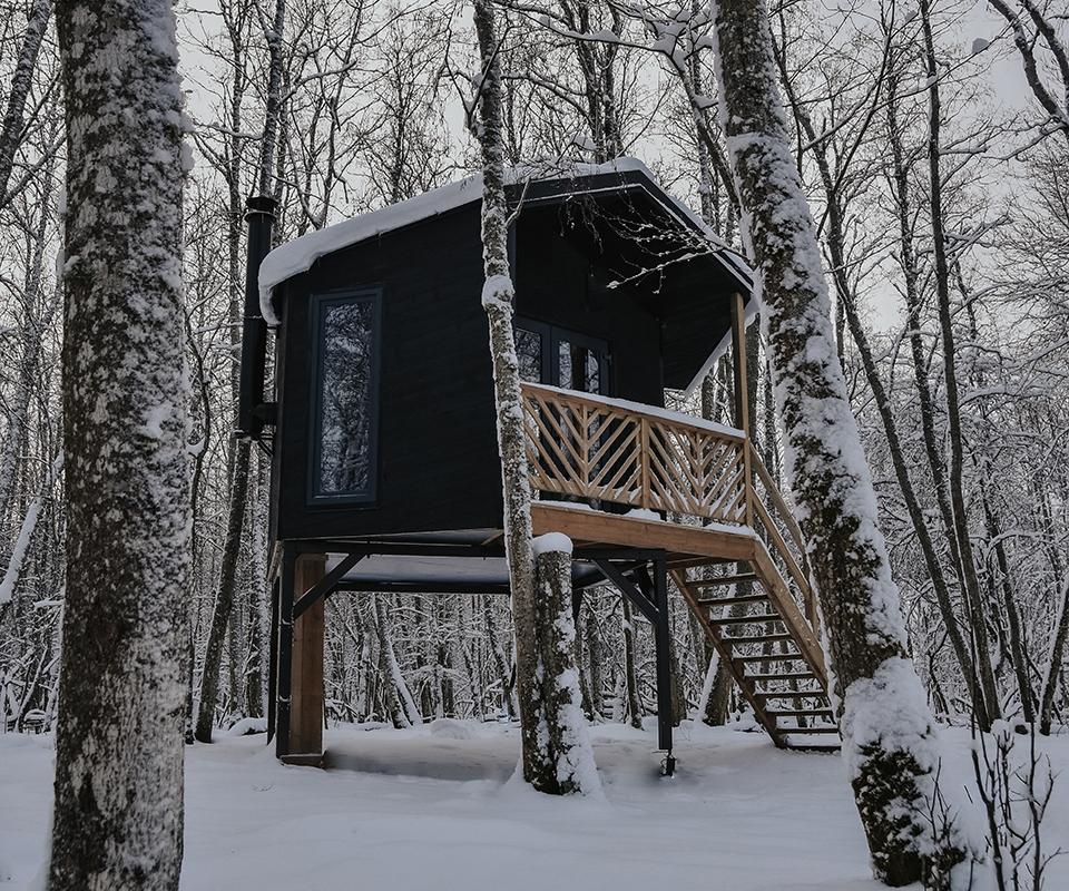 Hekso puuonn Hekso puuonn