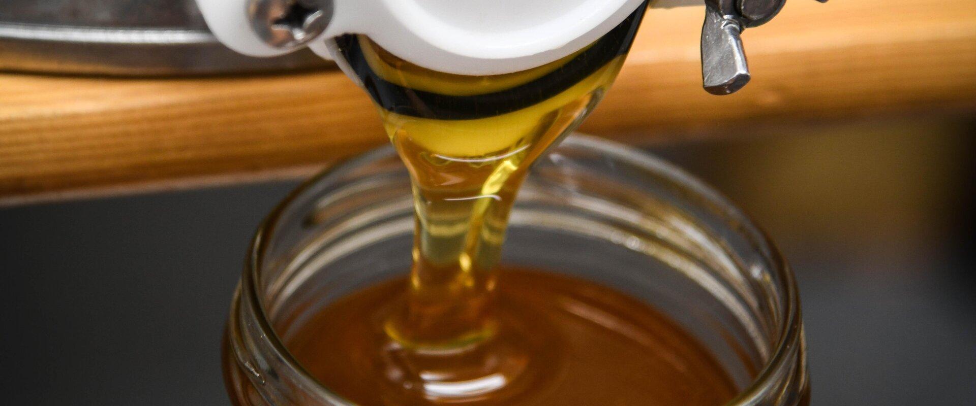 Aeglane hetk mesilas - õpituba "Mesi purki"