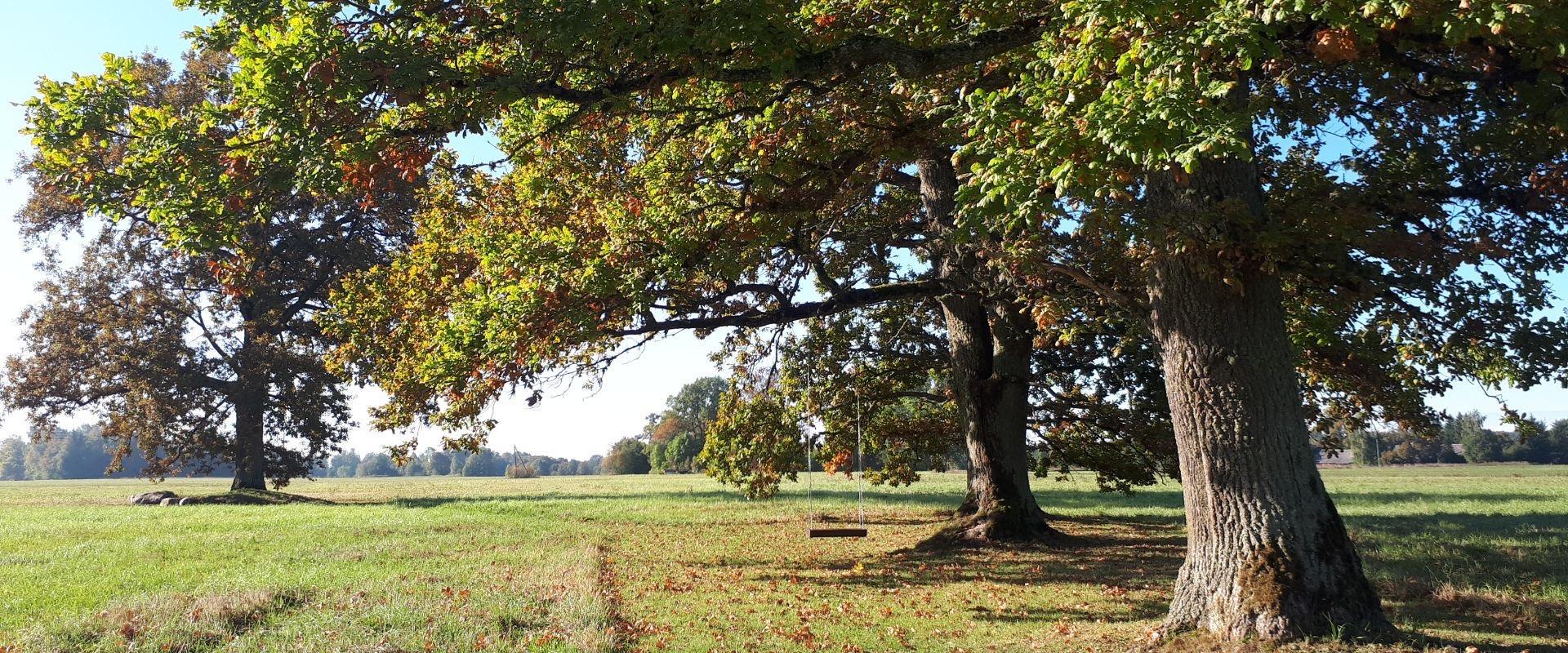 Journey through the oldest farmlands of Levi village - Levikivi hike