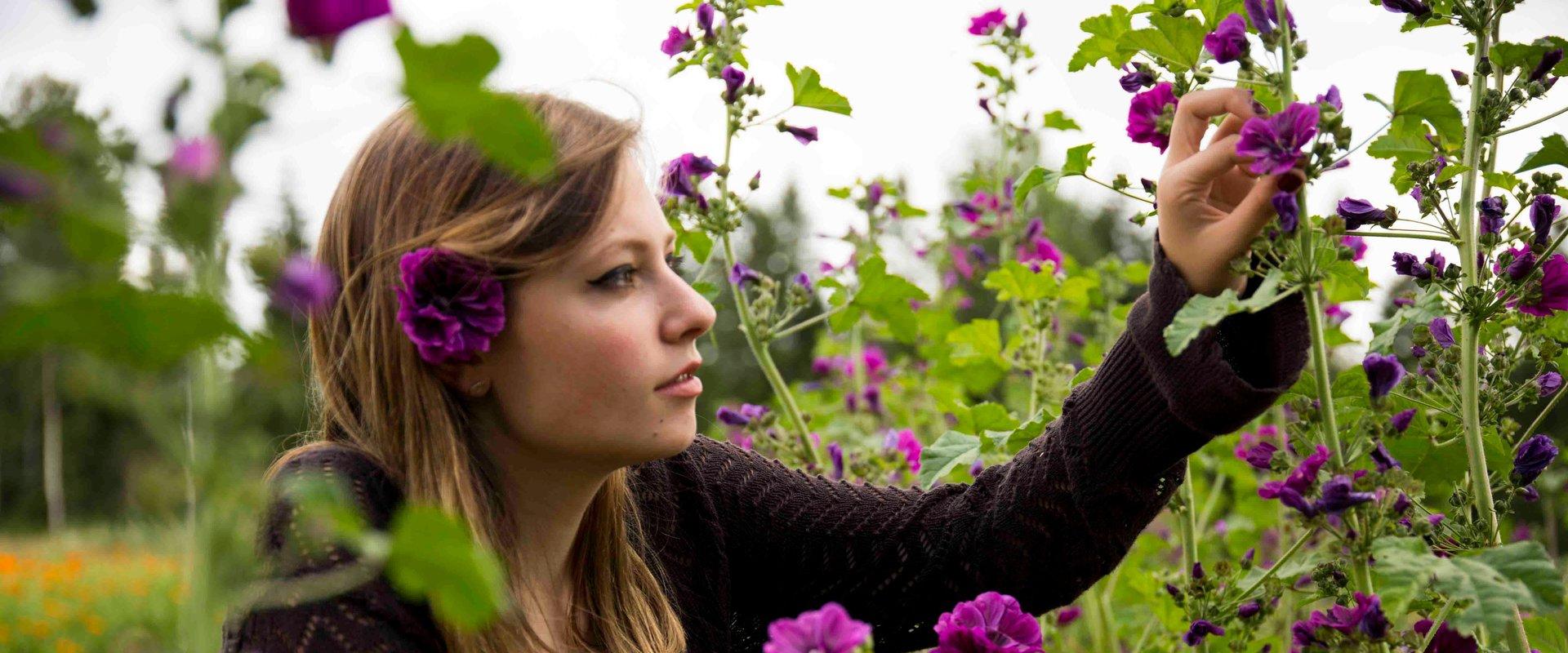 Ārstniecības augu centrs Enerģija