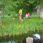 Pärnade embuses päikeseloojangut nautimas