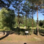 Tiina Ojaste kivi-installatsioonide õuegalerii