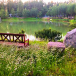 TIINA OJASTE ÕUEGALERII