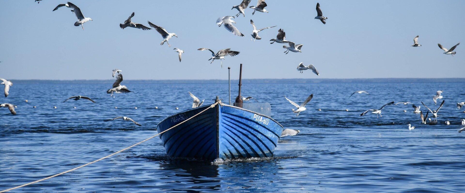 Romantiline Rannatee